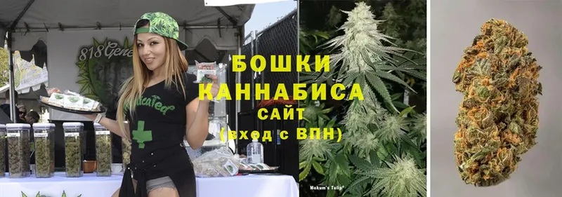 где продают   Калачинск  Бошки марихуана SATIVA & INDICA 